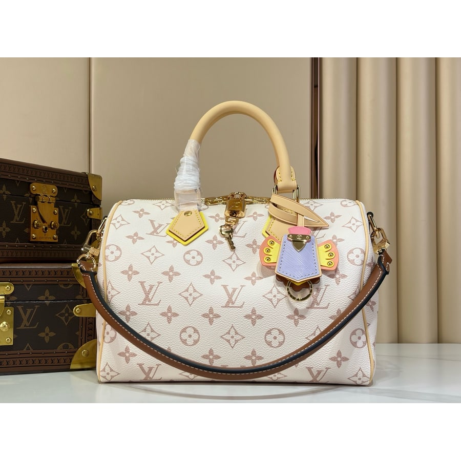 مرجع Louis Vuitton Speedy 25، من الأمام